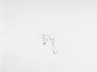 Animation Dog GIF by Jonah Primiano