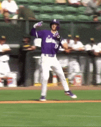 Home Run Hug GIF by Northwestern Athletics