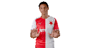 Football Calm Down Sticker by SK Slavia Praha