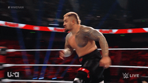 Sport Wwe GIF by USA Network