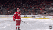 Happy Red Wings GIF by NHL