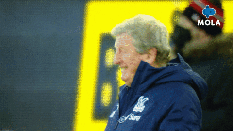 Happy Fun GIF by MolaTV