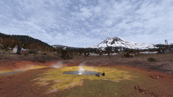 DayZ Sakhal Geysers