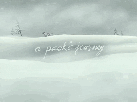Wolfs Rain Animation GIF by All The Anime — Anime Limited