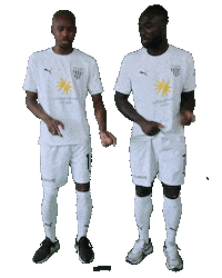 Dance Fun Sticker by 1. FC Bocholt