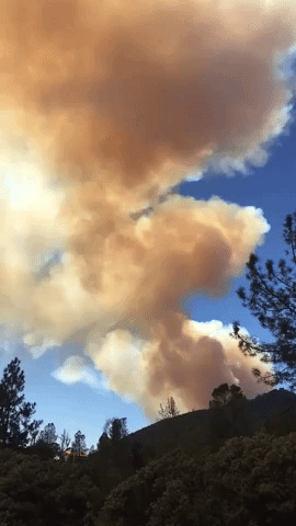 Rapidly Growing Oak Fire Prompts Evacuations