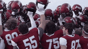 Football Win GIF by Colgate Athletics