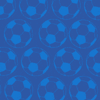 France Football GIF by Pudgy Penguins