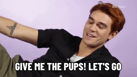 Kj Apa GIF by BuzzFeed