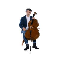 Gautier Capucon Hello Sticker by Warner Music France