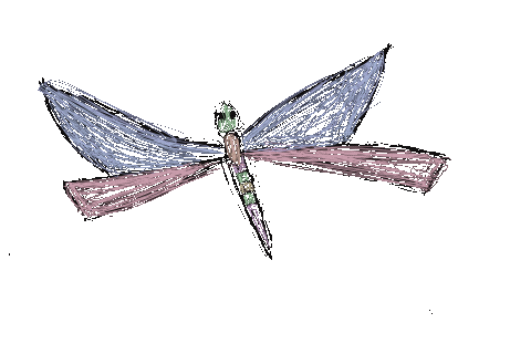 Pink Butterfly Sticker by BVK Students Hannover