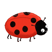 Bug Insect Sticker