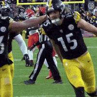 Excited Celebration GIF by Pittsburgh Steelers