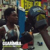Fight Beat Up GIF by La Guarimba Film Festival