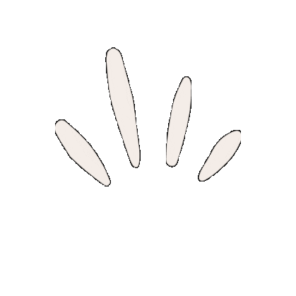 Effects Sticker by Panera Bread