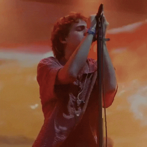 Chicago Illinois GIF by Respective