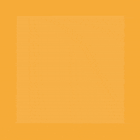 coffee twitter GIF by Winnie Sun