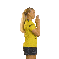 Rema1000Ligaen Sticker by Norsk Topphåndball