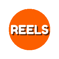 Instagram Orange Sticker