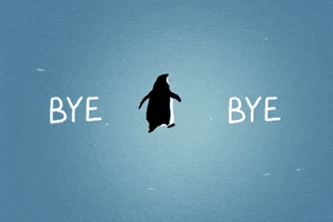 Bye Bye