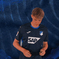 Sport Bundesliga GIF by TSG Hoffenheim