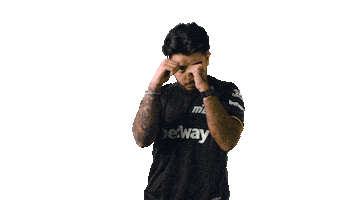 Vamos Counter Strike Sticker by MIBR