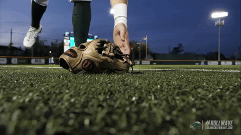 baseball wave GIF by GreenWave