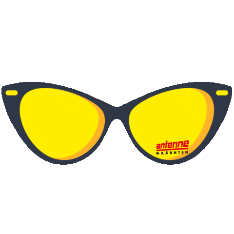 antennekaernten giphyupload summer sunglasses sommer Sticker