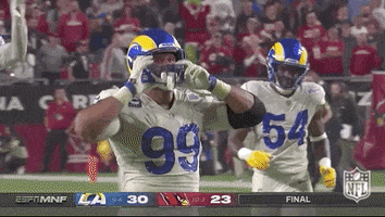 Los Angeles Rams Football GIF by NFL