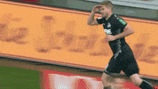 soccer celebration GIF by 1. FC Köln