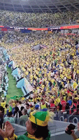Fans Go Wild as Brazil Scores 