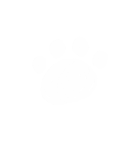 ねこ Sticker