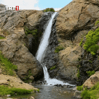Summer Water GIF by TRT