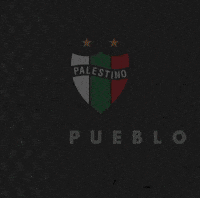 Logo GIF by Club Deportivo Palestino