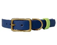 Dog Collar Sticker by Paws Of Kow