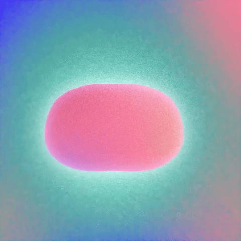 pretty potato