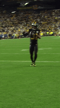 Sport Celebration GIF by Pittsburgh Steelers