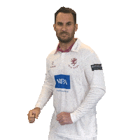 Celebration Sticker by Somerset County Cricket Club