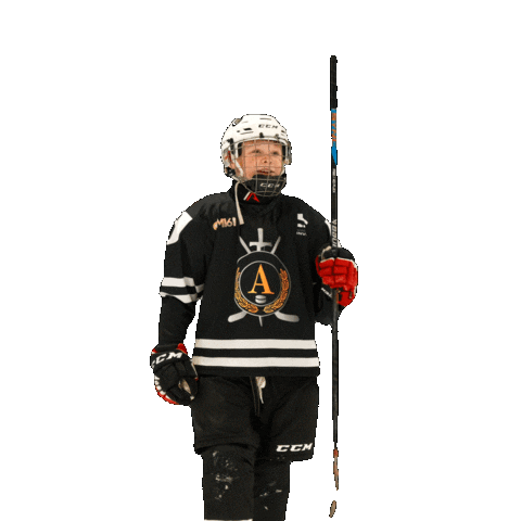 alfahockey giphyupload хоккей хоккеист альфа Sticker