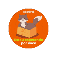 petland_brasil srday Sticker