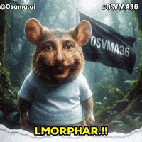 Rap Morocco GIF