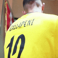Football Soccer GIF by Widzew Łódź