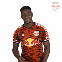 Happy Dance GIF by New York Red Bulls