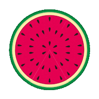 sabrinablumenthal summer sweet fruit fresh Sticker