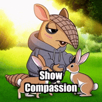 Wisdom Compassion GIF by Chillo Dillo