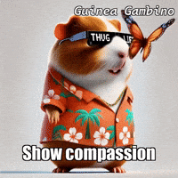 Butterfly Meditation GIF by Guinea Gambino