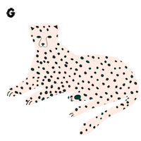 Leopard Jaguar Sticker by Physalis Estúdio de Criação