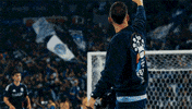 Sdfc GIF by San Diego FC