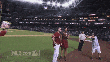 arizona diamondbacks GIF by MLB