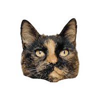 Maudjeandco cat kitten pepper tortie Sticker